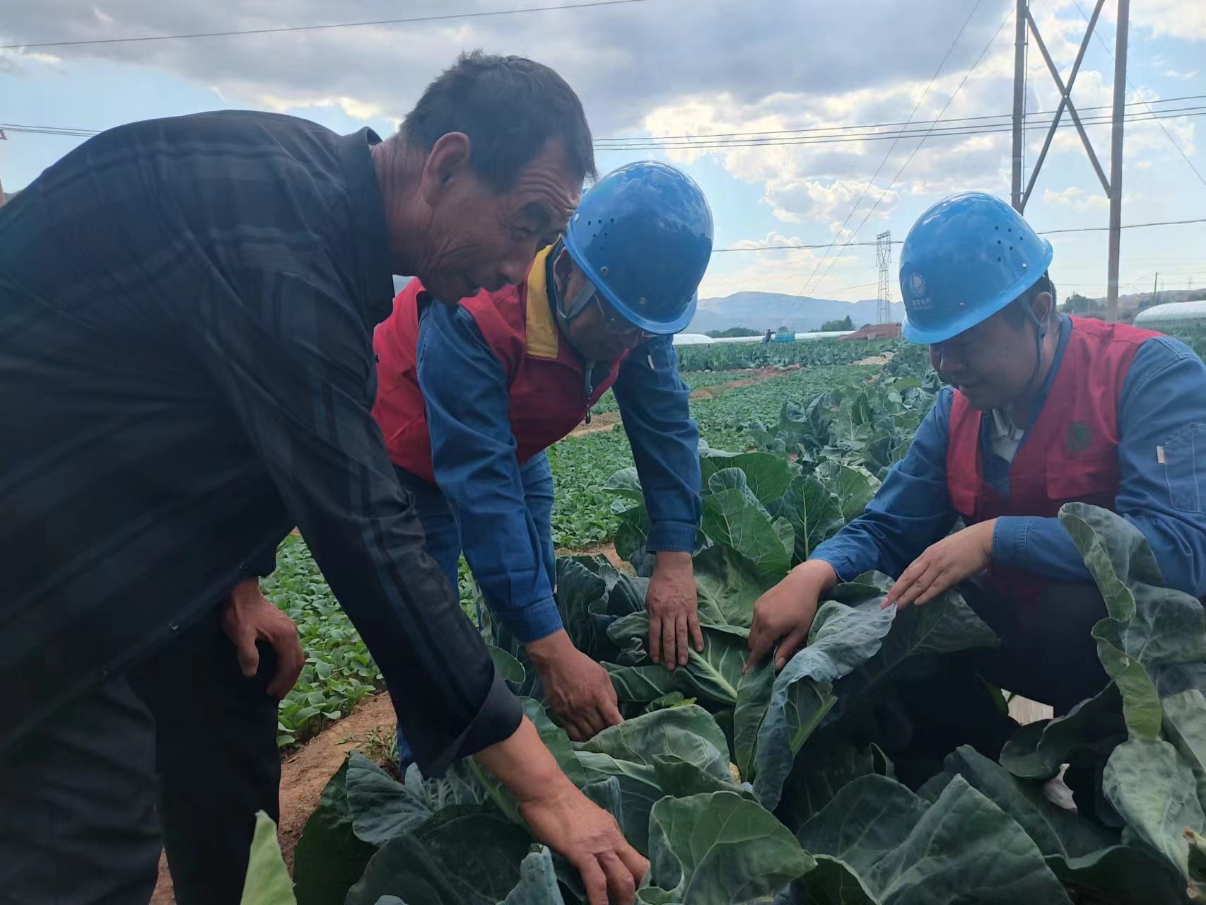 國網(wǎng)蘭州供電公司花莊供電所員工向種植戶了解蔬菜長勢及灌溉用電情況。陳正祥攝.jpg